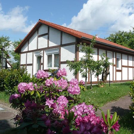 Ferienhaus Kogge Im Feriendorf Alt Bachenbrock Εξωτερικό φωτογραφία